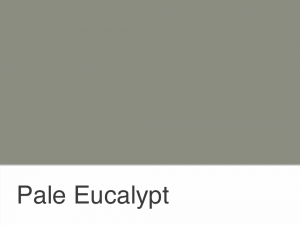 Pale Eucalypt